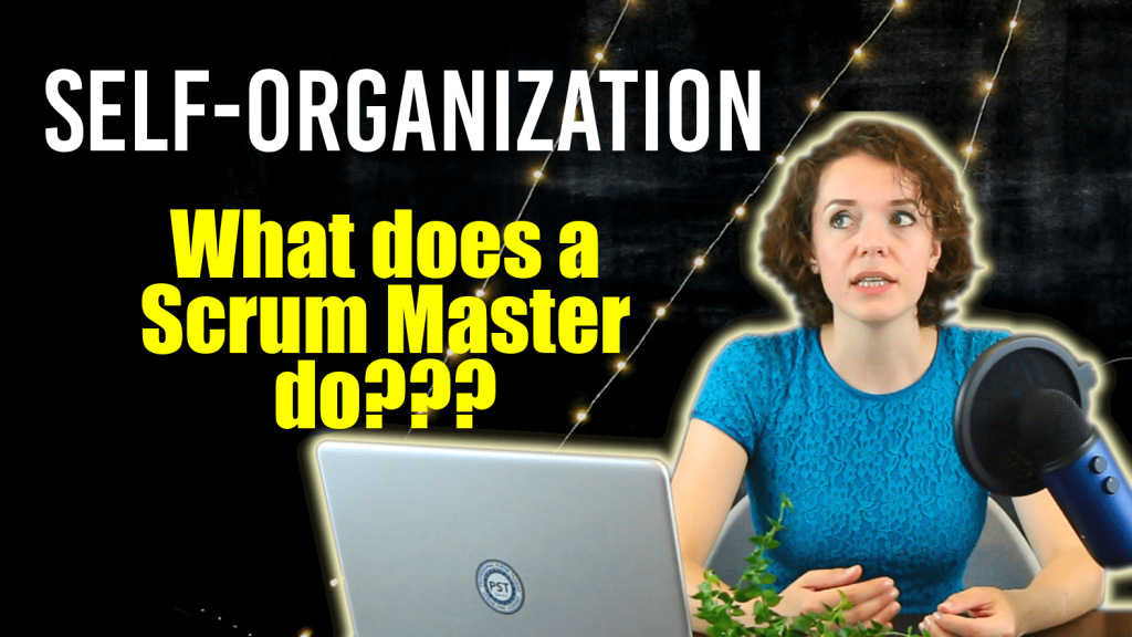 Self-organization in Scrum